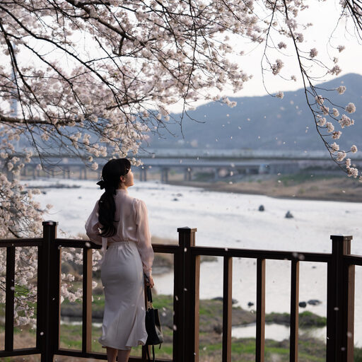원본