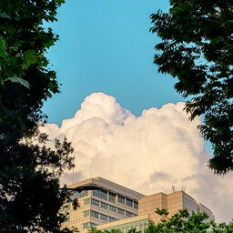 Emotional Cloud